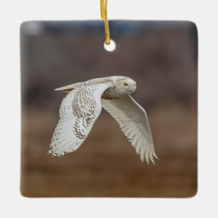 Majestätische Schneeeule der Küste von Connecticut Keramikornament
