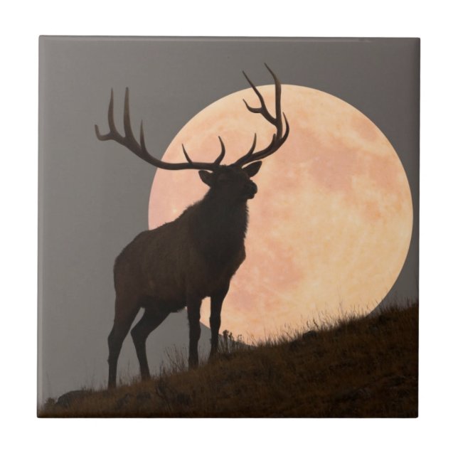 Majestätische Stier-Elch-und Vollmond-Aufstieg Fliese (Vorderseite)