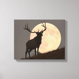 Majestätische Stier-Elch-und Vollmond-Aufstieg Leinwanddruck