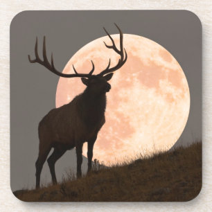 Majestätische Stier-Elch-und Vollmond-Aufstieg Untersetzer