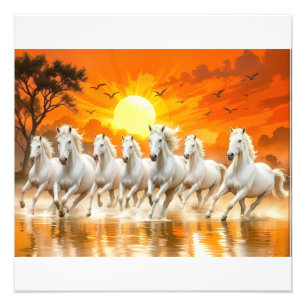 Majestätische weiße Pferde beim goldenen Sonnenauf Fotodruck