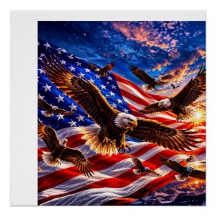 Majestätische Weißkopfseeadler über der amerikanis Poster