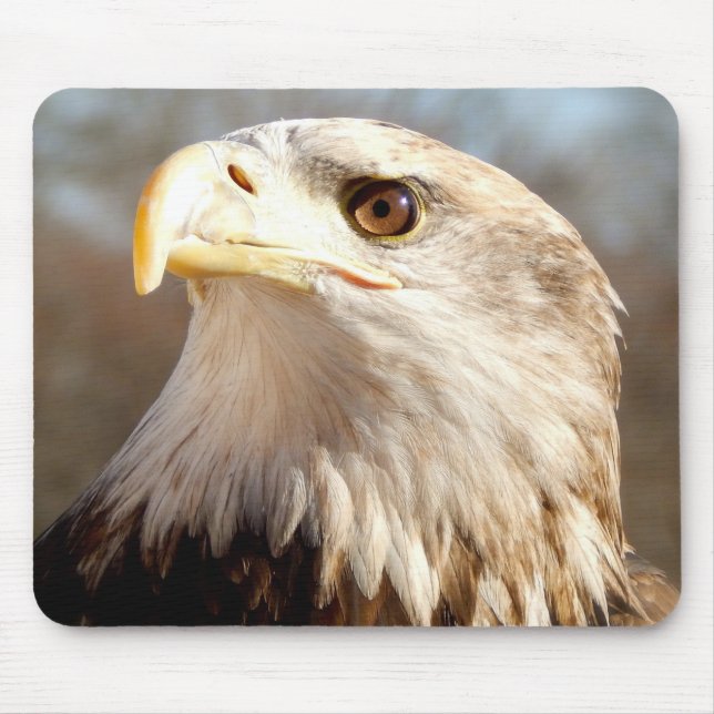Majestätischer Amerikaner Eagle Mousepad (Vorne)