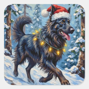 Majestätischer Belgischer Schäferhund Schnee Wald Quadratischer Aufkleber