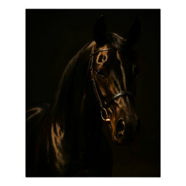 Majestätischer Fuchsbrauner Hengst im Dunkeln Poster
