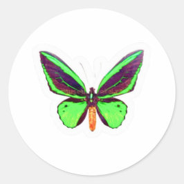 Majestätischer grüner Limettenschmetterling-Sticke Runder Aufkleber