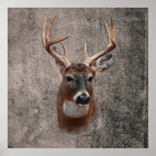 Majestätischer Hirsch vor rustikaler Kulisse Poster