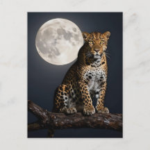 Majestätischer Leopard und Vollmond 