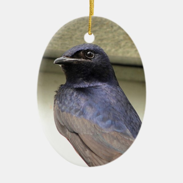 Majestätischer lila Martin Keramikornament (Vorne)