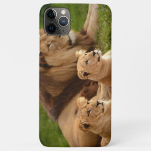 Majestätischer Löwe Handyhülle – Kühnes & Kraftvol Case-Mate iPhone Hülle