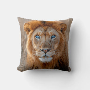 Majestätischer männlicher Löwe mit leuchtend blaue Kissen