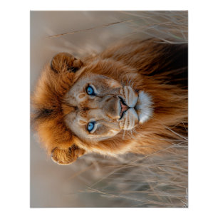 Majestätischer männlicher Löwe mit leuchtend blaue Poster