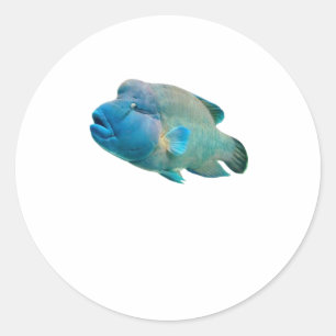 Majestätischer Napoleon-Lippfisch Bali Art). Runder Aufkleber