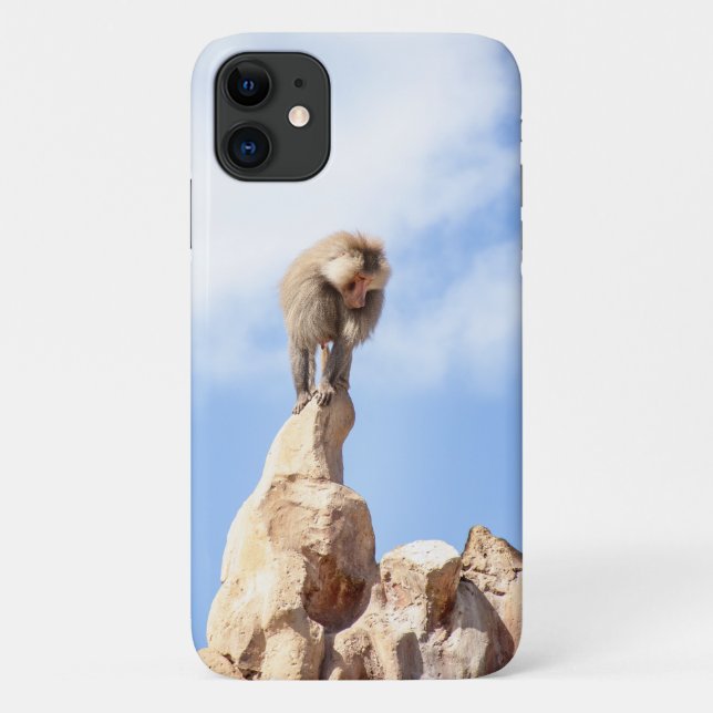 Majestätischer Pavian auf Berggipfel Case-Mate iPhone Hülle (Rückseite)