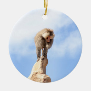 Majestätischer Pavian auf Berggipfel Keramik Ornament