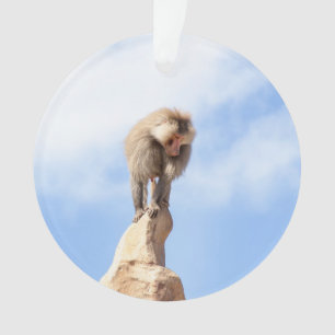 Majestätischer Pavian auf Berggipfel Ornament