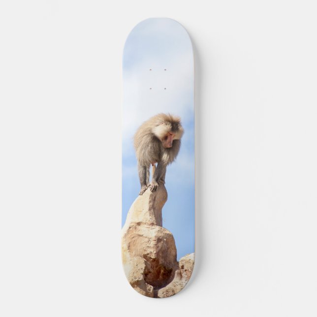 Majestätischer Pavian auf Berggipfel Skateboard (Vorderseite)