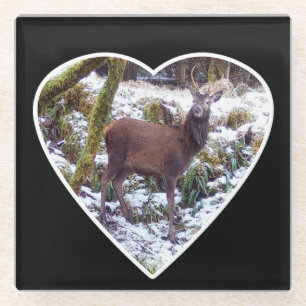 Majestätischer Rothirsch Hirsch Schneeige Winterla Glasuntersetzer