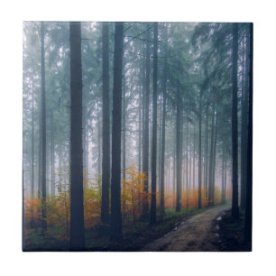 Majestätischer Waldbaum gesäumter Weg Fliese