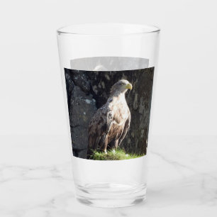 Majestätischer Weißschwanzadler Wilde zerklüftete Glas