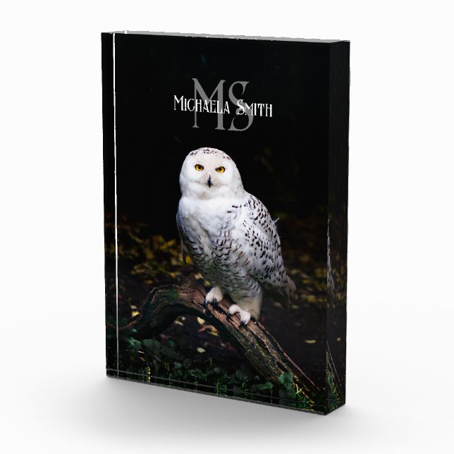 Majestätischer Winterschneeauuler Monogramm-indivi Fotoblock (Rechts)