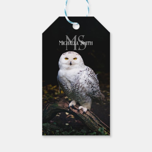 Majestätischer Winterschneeauuler Monogramm-indivi Geschenkanhänger (Vorderseite)