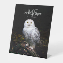 Majestätischer Winterschneeauuler Monogramm-indivi