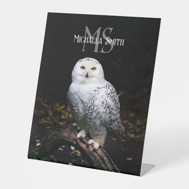 Majestätischer Winterschneeauuler Monogramm-indivi Sockelschild (Vorderseite)