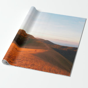Majestätisches Feld im Sonnenlicht. Dramatisch und Geschenkpapier