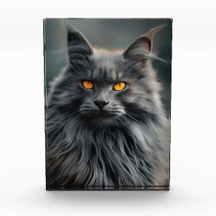 Majestätisches Langhaar-Katzenporträt-Design Fotoblock