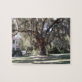 Majestätisches Live Oak-Puzzlespiel