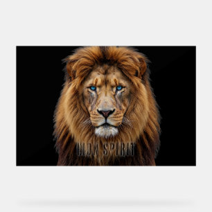 Majestätisches Löwengesicht mit blauen Augen Wil Acrylschild