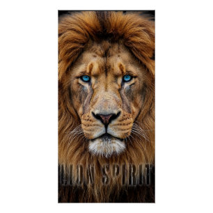 Majestätisches Löwengesicht mit blauen Augen   Wil Poster