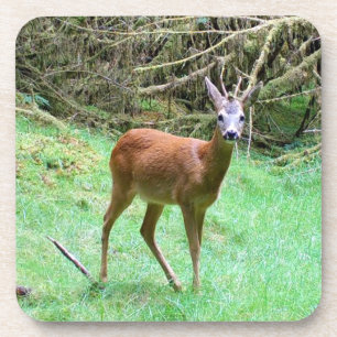 Majestätisches Reh Bock Wald Untersetzer Set Natur