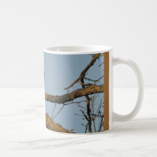 Majestätisches Scharfes Shinned Falke-Tasse Kaffeetasse