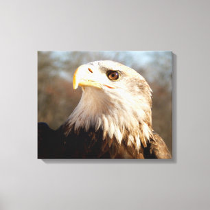 Majestätisches Weißkopfseeadler-Profil Leinwanddruck