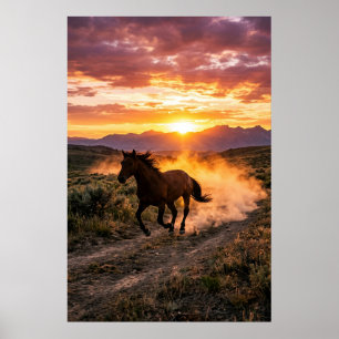 Majestätisches Wildpferd Sonnenuntergang Poster   