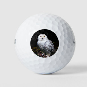 Majestätliche Winter-Schneeeule Golfball