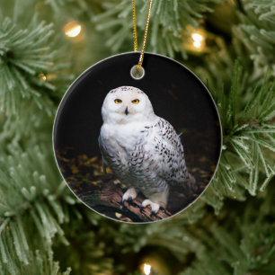 Majestätliche Winter-Schneeeule Keramik Ornament