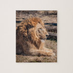 Majestic<br><div class="desc">Männlicher Löwe</div>