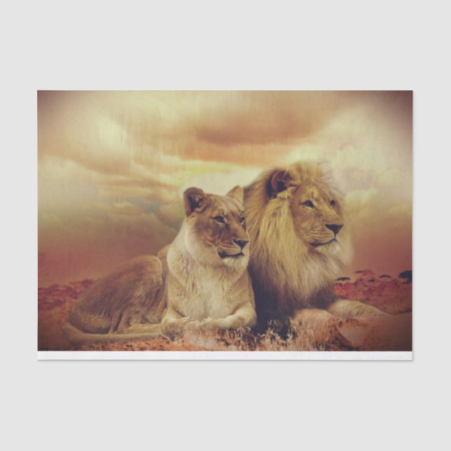 Majestic African Lion and Lions Seidenpapier (Vorderseite)