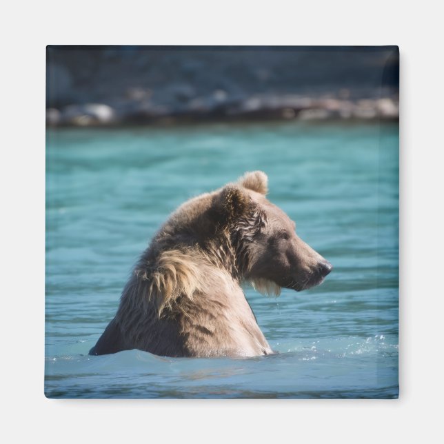 Majestic Alaskan Brown Bear Magnet (Vorne)