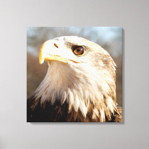 Majestic American Bald Eagle Closeup Leinwanddruck