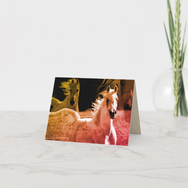 Majestic Arabian Hengst Note Card (Vorderseite)
