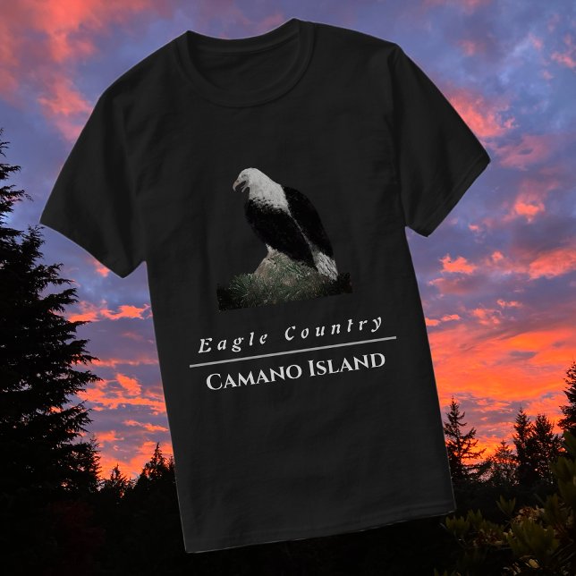 Majestic Bald Eagle auf einem Felsen T-Shirt (Von Creator hochgeladen)