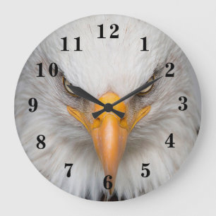 Majestic Bald Eagle Große Wanduhr