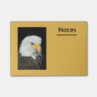 Majestic Bald Eagle Portrait