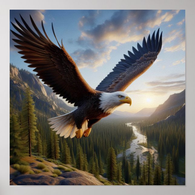 Majestic Bald Eagle: Ungezähmte Wildnis Poster (Vorne)