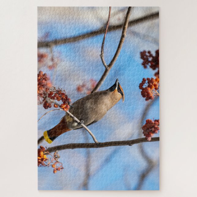 Majestic Bird, kanadischer Bohemischer Waxwing (Vertikal)
