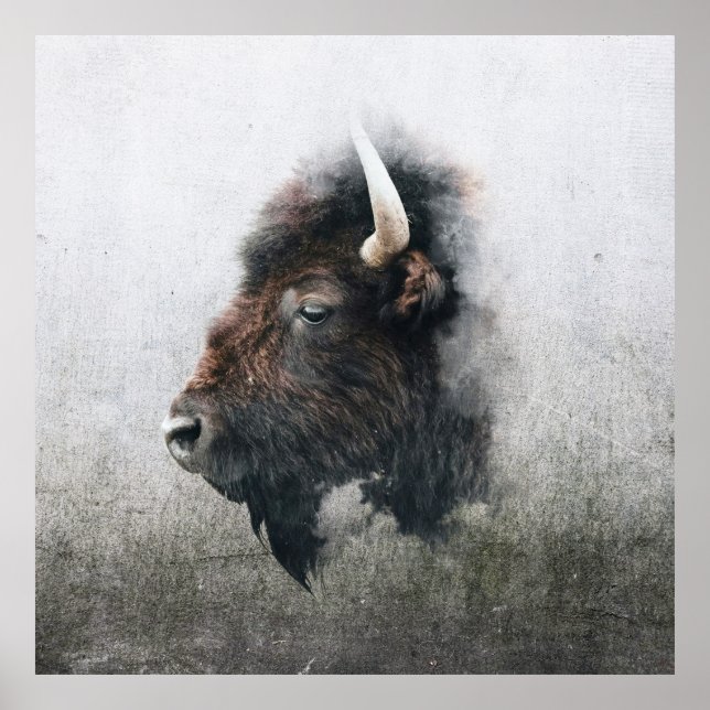 Majestic Bison Portrait Poster (Vorne)